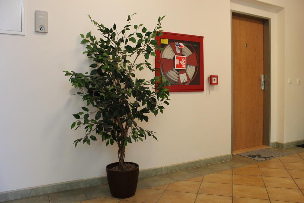 Apartment Promenada Poděbrady Екстериор снимка