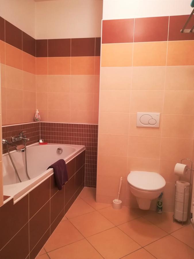 Apartment Promenada Poděbrady Екстериор снимка